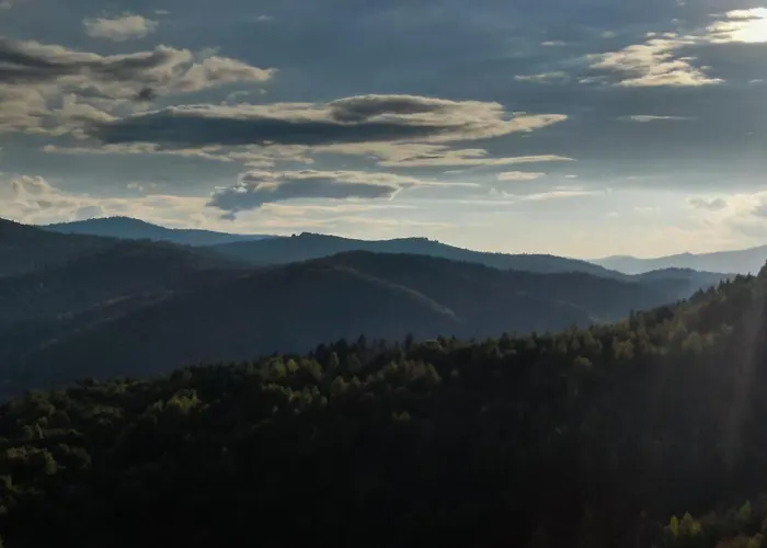 Stylowe Beskidy - Luksusowe Z Saunami I Jacuzzi דירה Żywiec